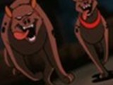 hyenas08