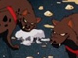 hyenas21