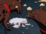 hyenas22