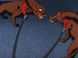 hyenas23