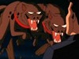 hyenas26