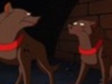 hyenas37